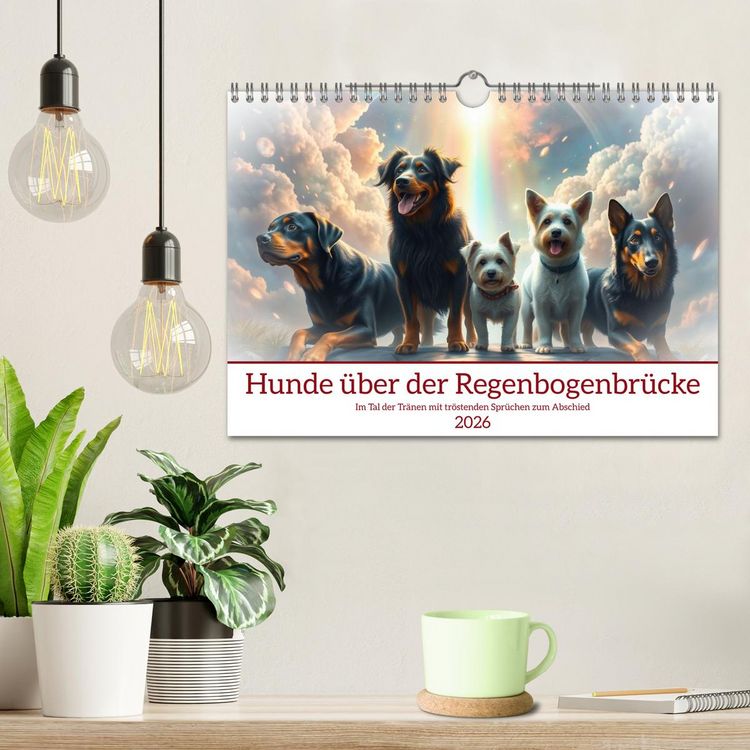 Produktbild: Hunde &uuml;ber der Regenbogenbr&uuml;cke (Wandkalender 2026 DIN A4 quer), CALVENDO Monatskalender