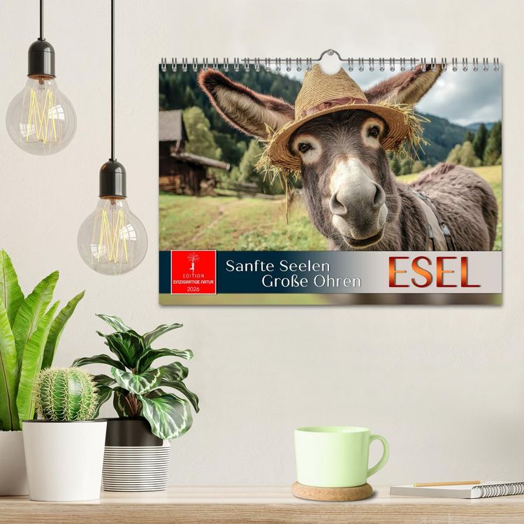 Produktbild: Esel - sanfte Seelen, gro&szlig;e Ohren (Wandkalender 2026 DIN A4 quer), CALVENDO Monatskalender