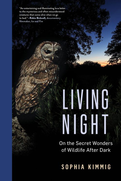 Produktbild: Living Night