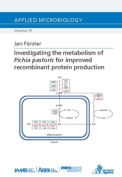 Produktbild: Investigating the metabolism of Pichia pastoris for improved recombinant protein production
