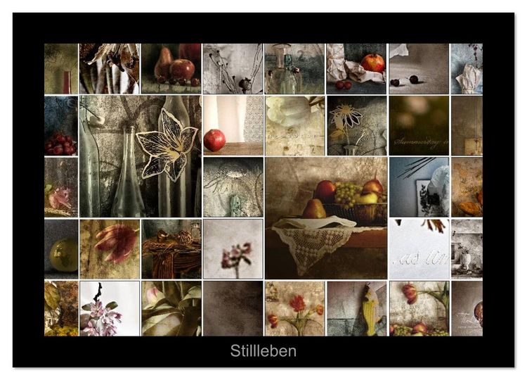 Produktbild: Stillleben (Wandkalender 2026 DIN A2 quer), CALVENDO Monatskalender