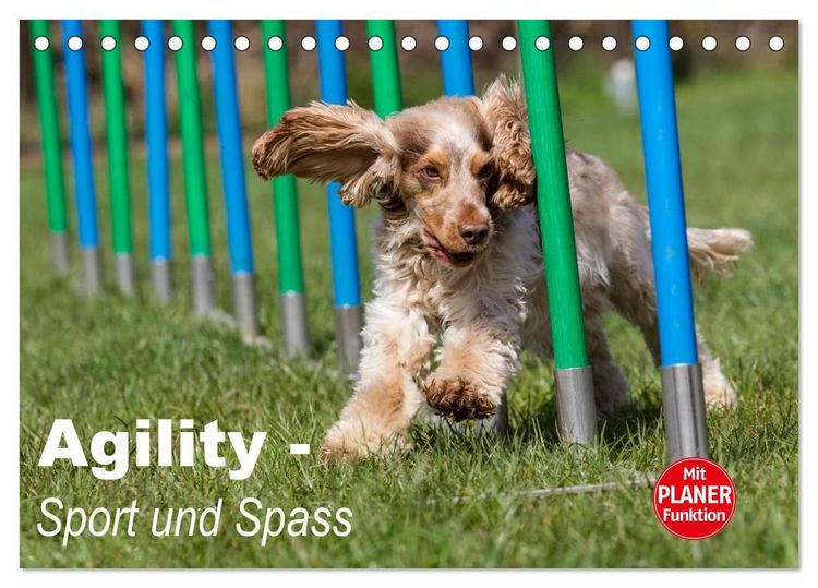 Produktbild: Agility - Sport und Spass (Tischkalender 2027 DIN A5 quer), CALVENDO Monatskalender