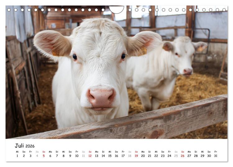 Produktbild: Hans der Bauer und seine Tiere auf dem Bauernhof (Wandkalender 2026 DIN A4 quer), CALVENDO Monatskalender