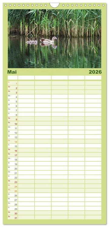 Produktbild: Familienplaner 2026 - Welt der Tiere mit 5 Spalten (Wandkalender, 21 x 45 cm) CALVENDO