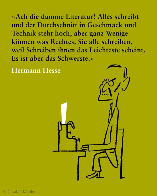 Produktbild: Ach die dumme Literatur!