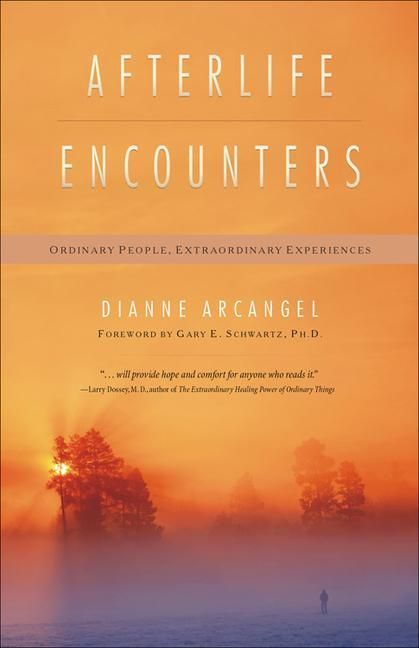 Produktbild: Afterlife Encounters