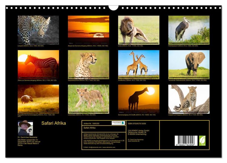 Produktbild: Safari Afrika (Wandkalender 2026 DIN A3 quer), CALVENDO Monatskalender