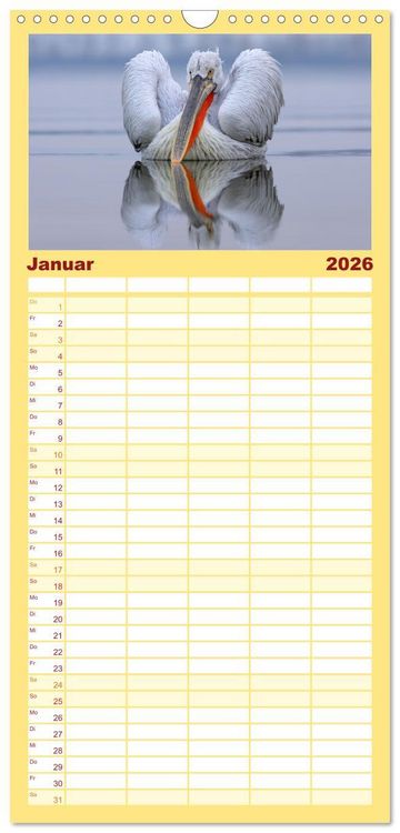 Produktbild: Familienplaner 2026 - Krauskopfpelikane mit 5 Spalten (Wandkalender, 21 x 45 cm) CALVENDO