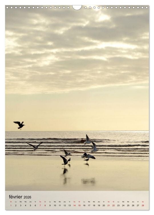 Produktbild: La mouette (Calendrier mural 2026 DIN A3 horizontal), CALVENDO calendrier mensuel