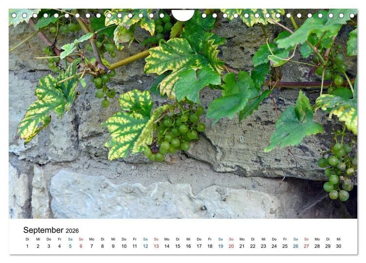 Produktbild: Freyburg an der Unstrut (Wandkalender 2026 DIN A4 quer), CALVENDO Monatskalender