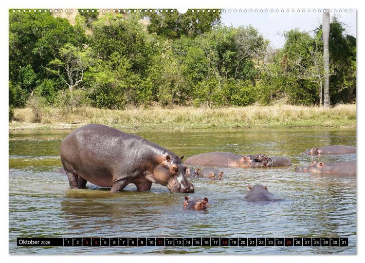 Produktbild: Afrikas Perle Uganda (Wandkalender 2026 DIN A2 quer), CALVENDO Monatskalender
