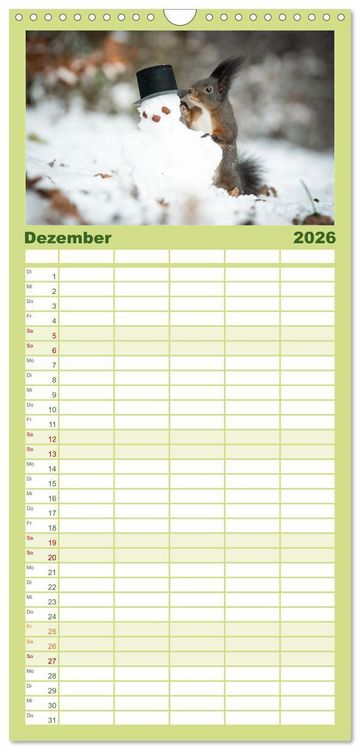 Produktbild: Familienplaner 2026 - Geheimes Waldleben mit 5 Spalten (Wandkalender, 21 x 45 cm) CALVENDO