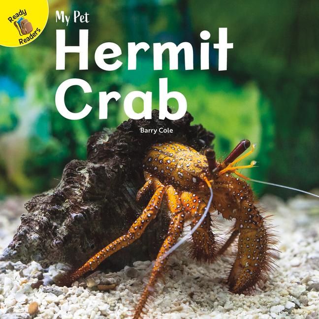 Produktbild: Hermit Crab