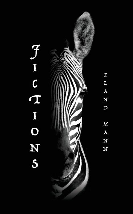 Produktbild: Fictions