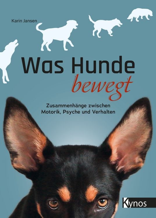 Produktbild: Was Hunde bewegt