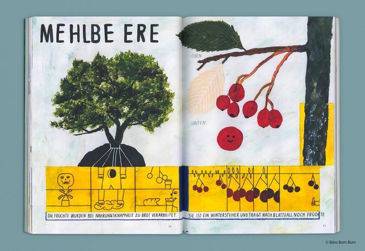 Produktbild: Oh, eine Pflanze!