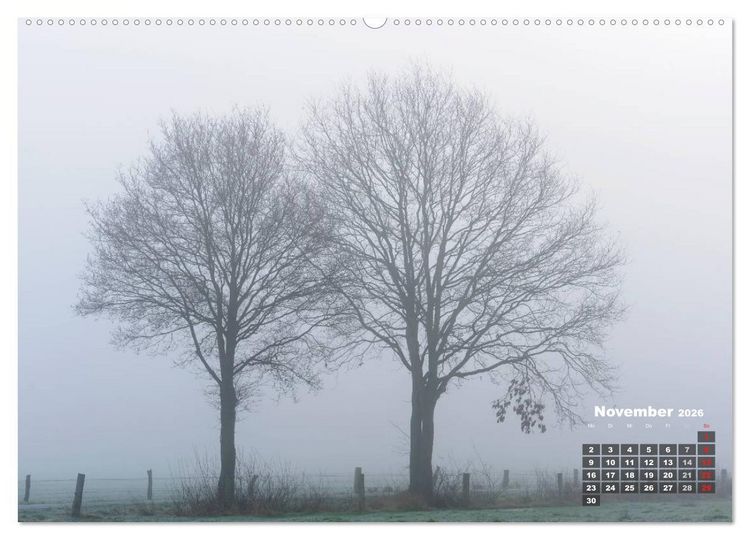 Produktbild: Die Dingdener Heide im Wandel der Jahreszeiten (Wandkalender 2026 DIN A2 quer), CALVENDO Monatskalender