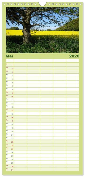 Produktbild: Familienplaner 2026 - Baum-Variationen mit 5 Spalten (Wandkalender, 21 x 45 cm) CALVENDO