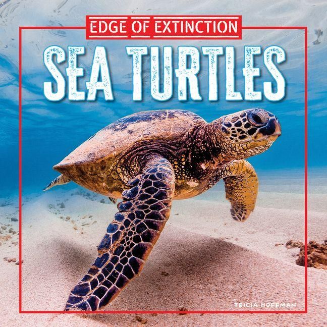 Produktbild: Sea Turtles