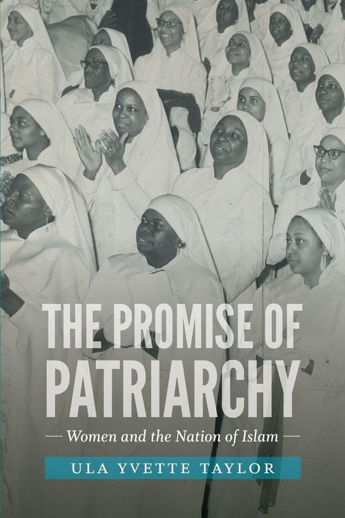 Produktbild: The Promise of Patriarchy