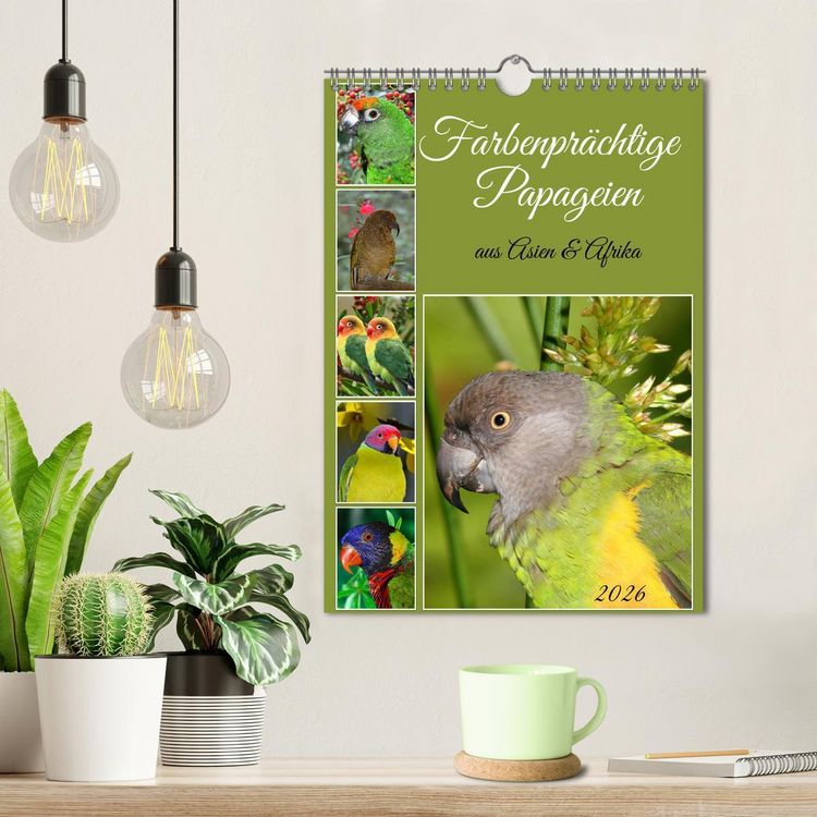 Produktbild: Farbenpr&auml;chtige Papageien aus Asien und Afrika (Wandkalender 2026 DIN A4 hoch), CALVENDO Monatskalender