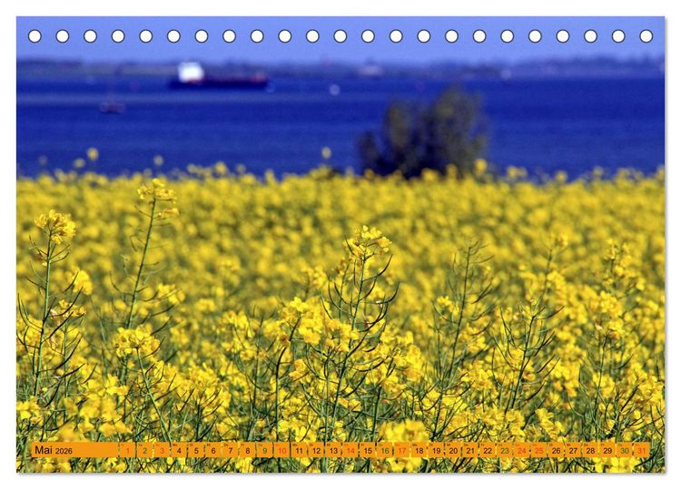 Produktbild: Wismarer Bucht - Impressionen zwischen Kl&uuml;tzer Winkel und der Insel Poel (Tischkalender 2026 DIN A5 quer), CALVENDO Monatskalender