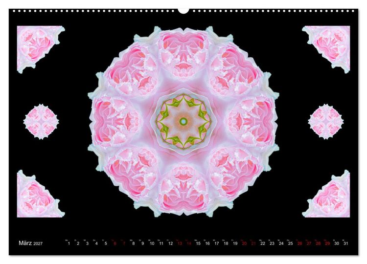 Produktbild: ROSEN MANDALAS (hochwertiger Premium Wandkalender 2027 DIN A2 quer), Kunstdruck in Hochglanz