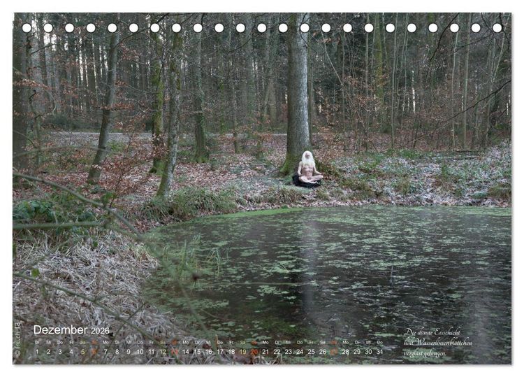 Produktbild: HAIKU AM TEICH (Tischkalender 2026 DIN A5 quer), CALVENDO Monatskalender