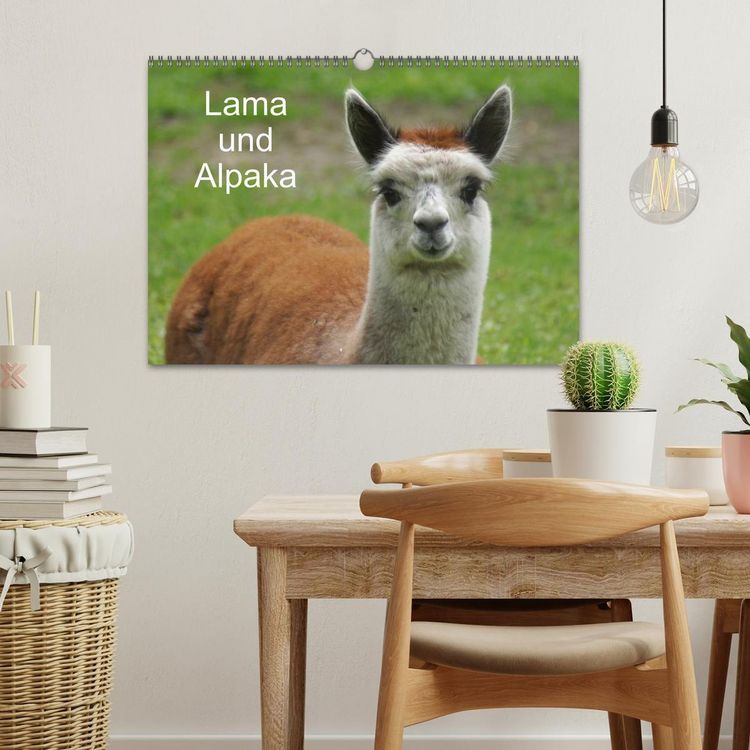 Produktbild: Lama und Alpaka (Wandkalender 2026 DIN A3 quer), CALVENDO Monatskalender