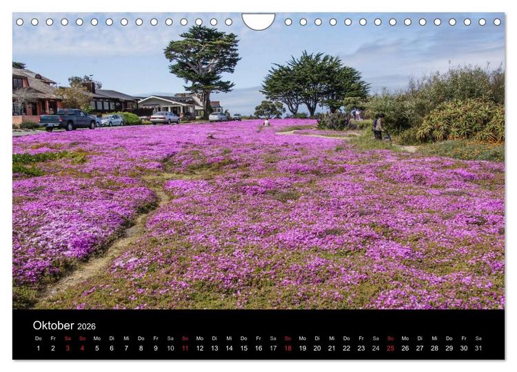 Produktbild: Monterey California (Wandkalender 2026 DIN A4 quer), CALVENDO Monatskalender
