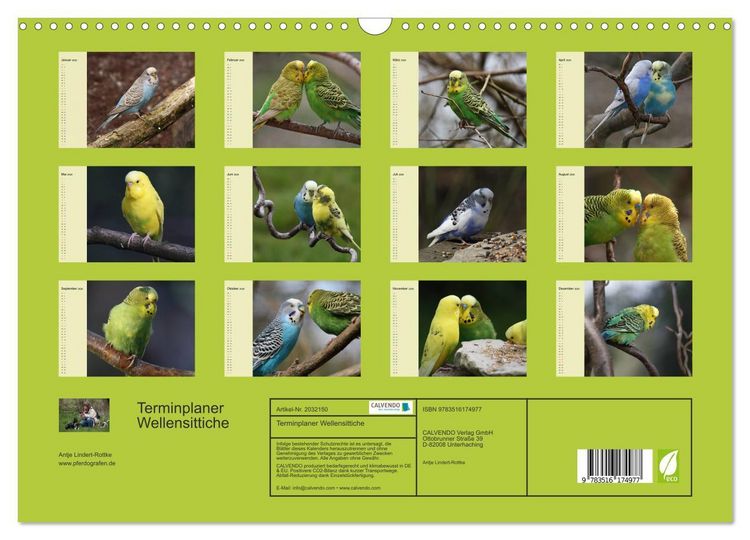 Produktbild: Terminplaner Wellensittiche (Wandkalender 2026 DIN A3 quer), CALVENDO Monatskalender
