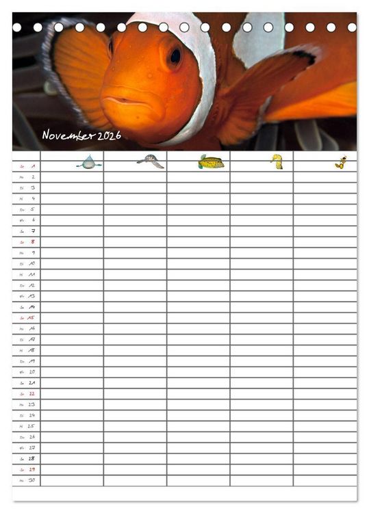 Produktbild: Der Unterwasser Familienplaner 2026 (Tischkalender 2026 DIN A5 hoch), CALVENDO Monatskalender
