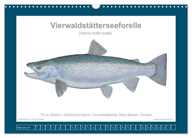 Produktbild: Fisch als Kunst 2027: Seeforellen (Wandkalender 2027 DIN A3 quer), CALVENDO Monatskalender