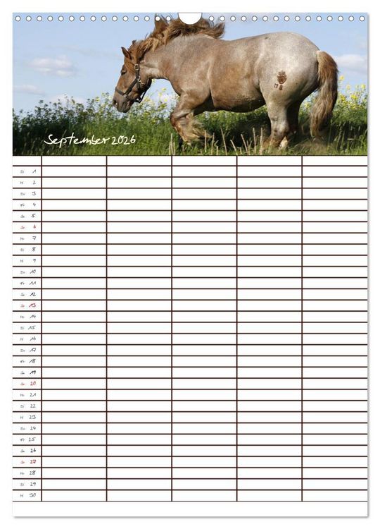 Produktbild: Der Kaltblut-Familienplaner (Wandkalender 2026 DIN A3 hoch), CALVENDO Monatskalender