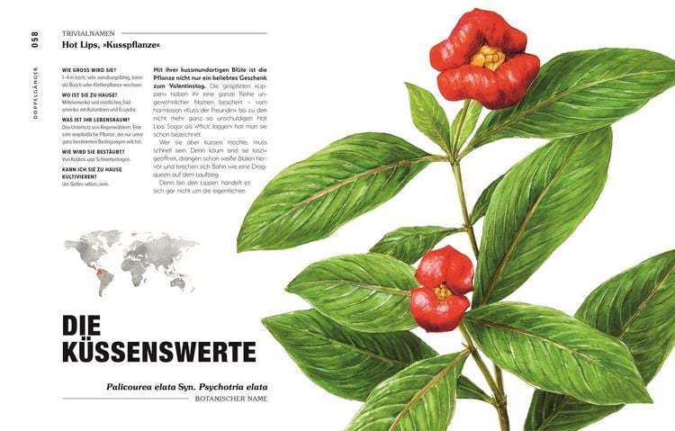 Produktbild: Kuriose Pflanzen