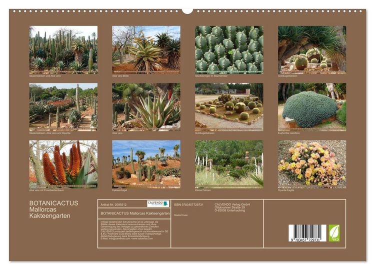 Produktbild: BOTANICACTUS Mallorcas Kakteengarten (hochwertiger Premium Wandkalender 2026 DIN A2 quer), Kunstdruck in Hochglanz