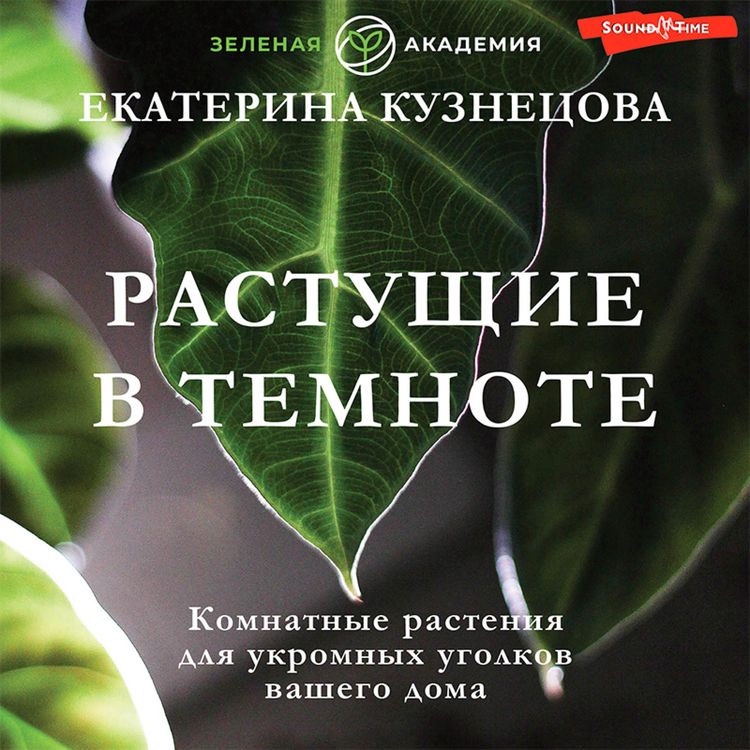 Produktbild: Rastushchie v temnote. Komnatnye rasteniya dlya ukromnyh ugolkov vashego doma