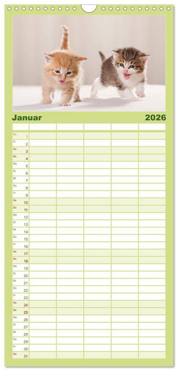 Produktbild: Familienplaner 2026 - L&auml;chelnd durchs Jahr - Katzenkinder -Familienplaner hoch mit 5 Spalten (Wandkalender, 21 x 45 cm) CALVENDO
