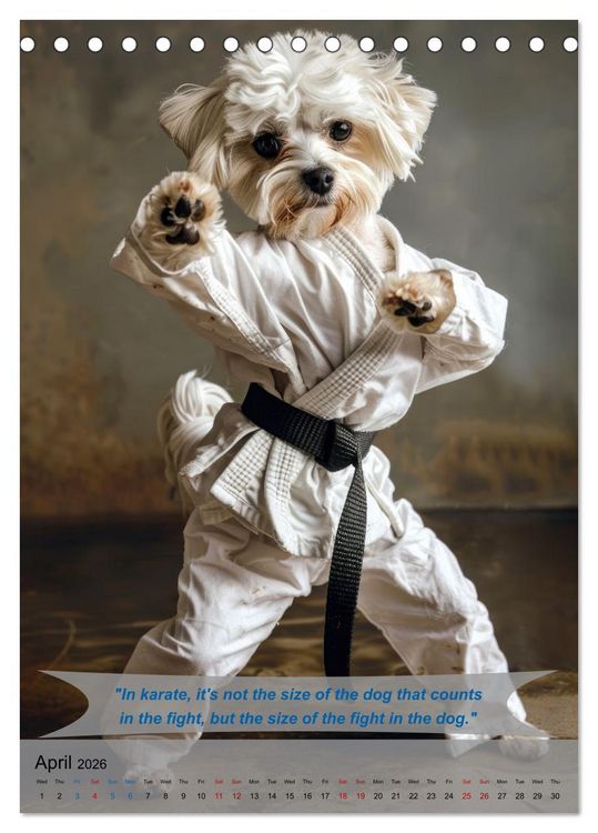 Produktbild: Great fun with animal karate fighters (Desk Calendar 2026 DIN A5 portrait), CALVENDO 12 Month DeskCalendar