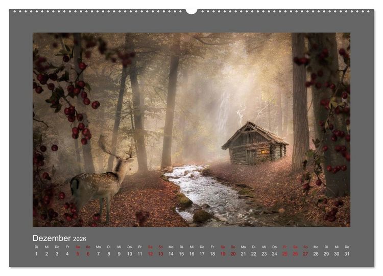 Produktbild: Waldgeheimnisse (Wandkalender 2026 DIN A2 quer), CALVENDO Monatskalender