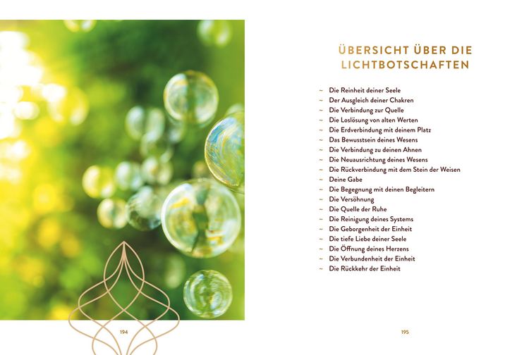 Produktbild: Der Ruf deiner Seelenheimat