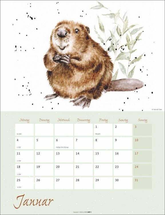 Produktbild: Country Life Kalender 2027