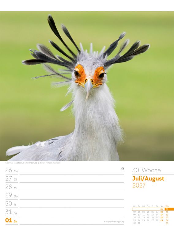 Produktbild: V&ouml;gel Wochenplaner Kalender 2027