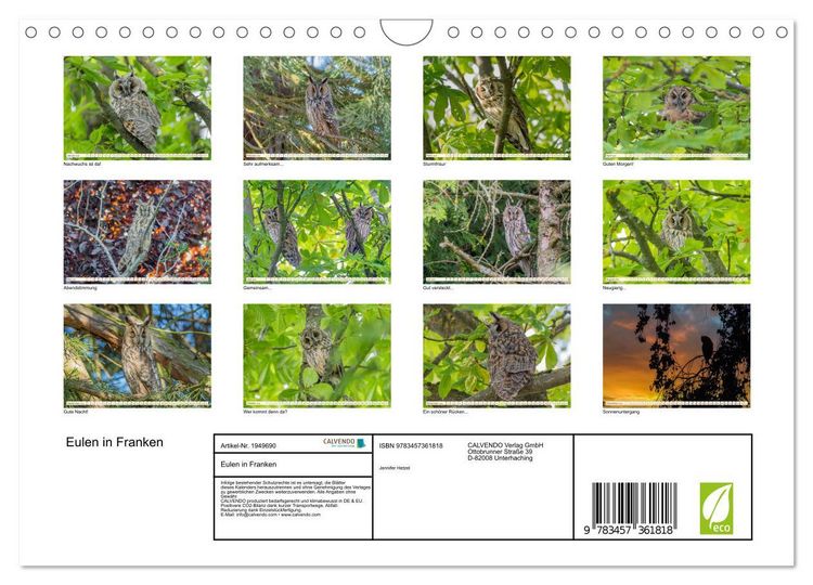 Produktbild: Eulen in Franken (Wandkalender 2026 DIN A4 quer), CALVENDO Monatskalender