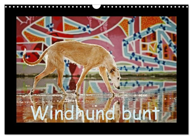 Produktbild: Windhund bunt (Wandkalender 2026 DIN A3 quer), CALVENDO Monatskalender