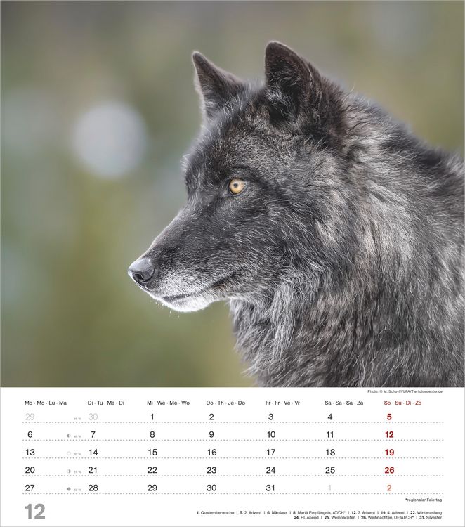 Produktbild: Mythos Wolf 2027