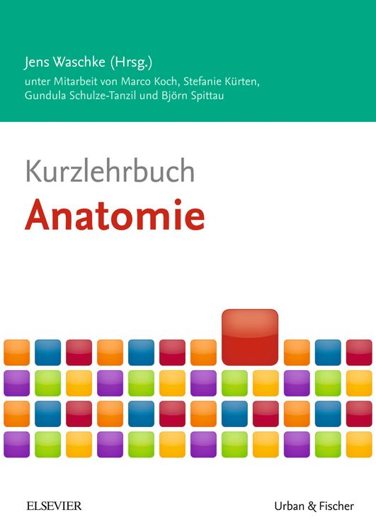 Produktbild: Kurzlehrbuch Anatomie