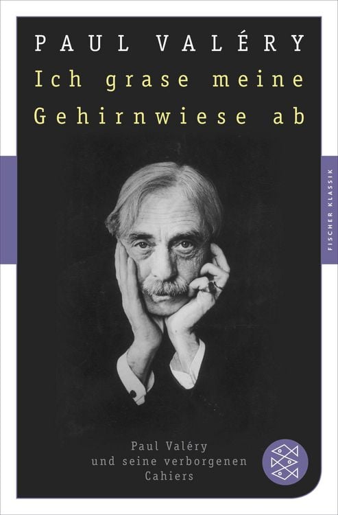 Produktbild: Ich grase meine Gehirnwiese ab