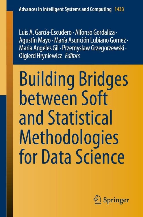Produktbild: Building Bridges between Soft and Statistical Methodologies for Data Science