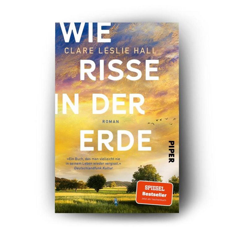 Produktbild: Wie Risse in der Erde
